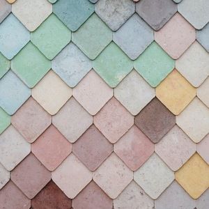 Meet your Posher, Camryn